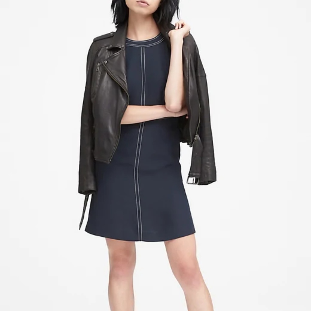 NWT! BR Petite Paneled Fit-and-Flare Dress